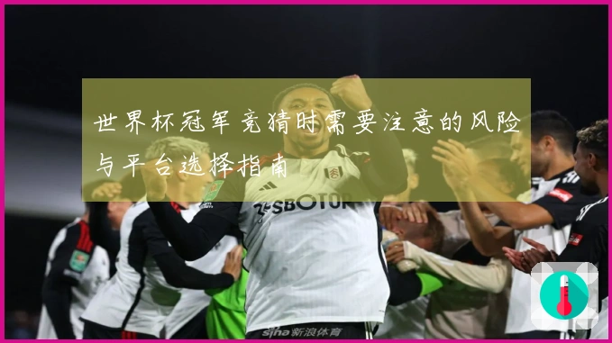 世界杯冠军竞猜时需要注意的风险与平台选择指南
