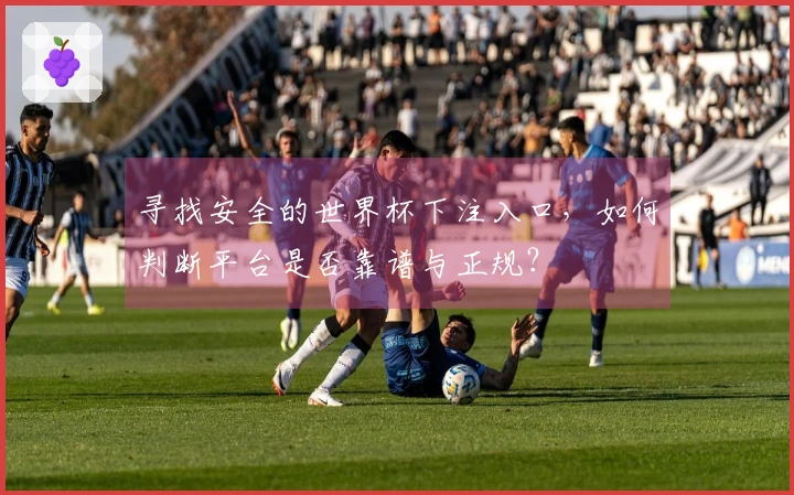 寻找安全的世界杯下注入口，如何判断平台是否靠谱与正规？