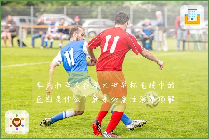 单关和串关在烽火世界杯竞猜中的区别是什么？新手必看注意事项解析