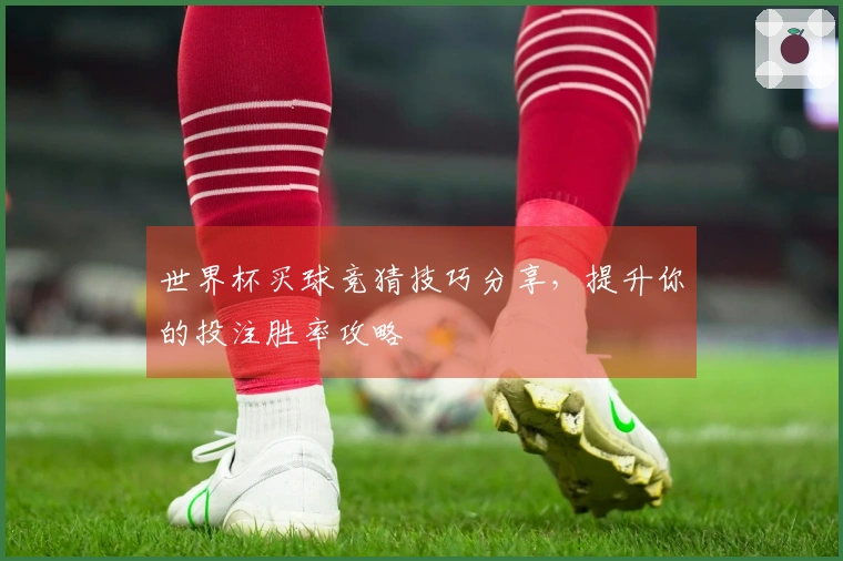 世界杯买球竞猜技巧分享,提升你的投注胜率攻略