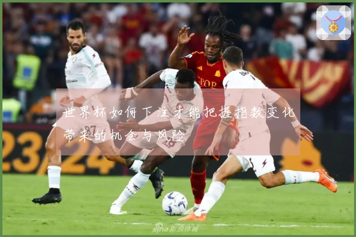 世界杯如何下注才能把握指数变化带来的机会与风险